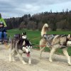 Ferienpass Mühlheim 2018 in Pfyn